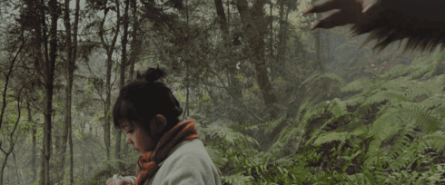 1675327818770527.gif 3.gif
