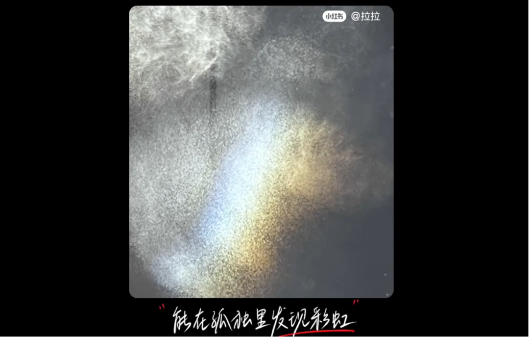 1675909181663636.png
