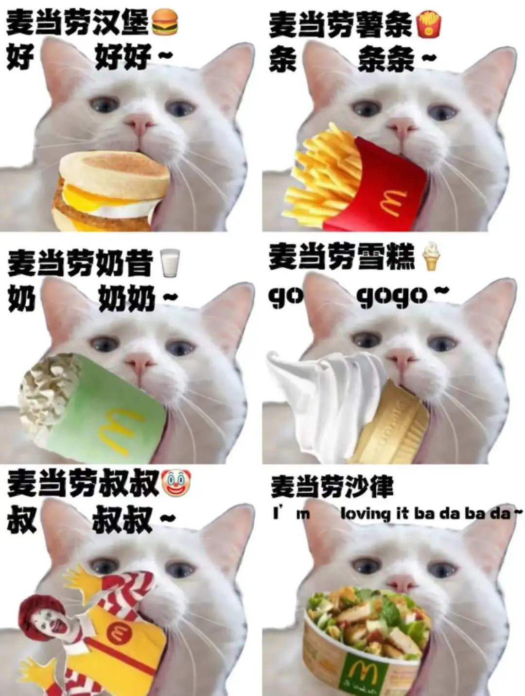 1678848585102441.jpg