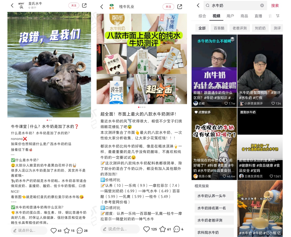 小众奶，爱你“孤身走暗巷”丨地域乳系列（二）