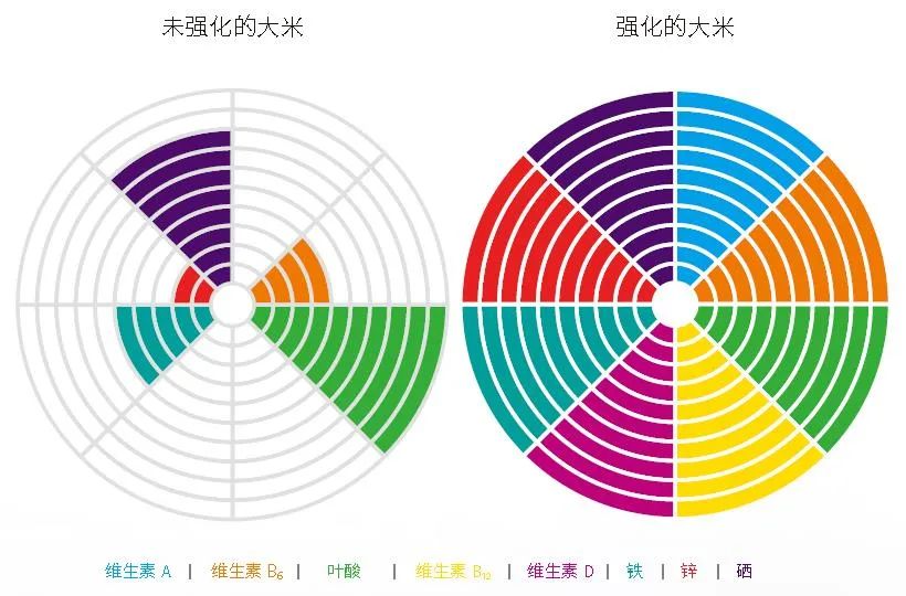 营养强化,从一碗主食开始 营养强化,从一碗主食开始