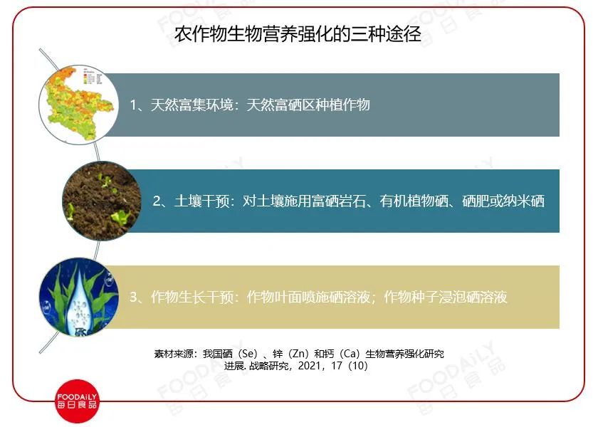 营养强化，从一碗主食开始