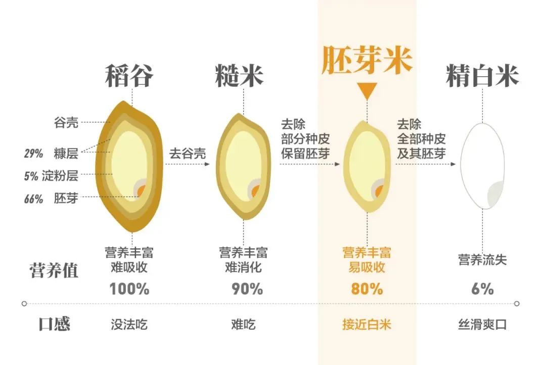 营养强化,从一碗主食开始 营养强化,从一碗主食开始