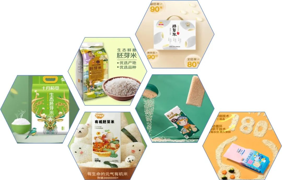 营养强化,从一碗主食开始 营养强化,从一碗主食开始