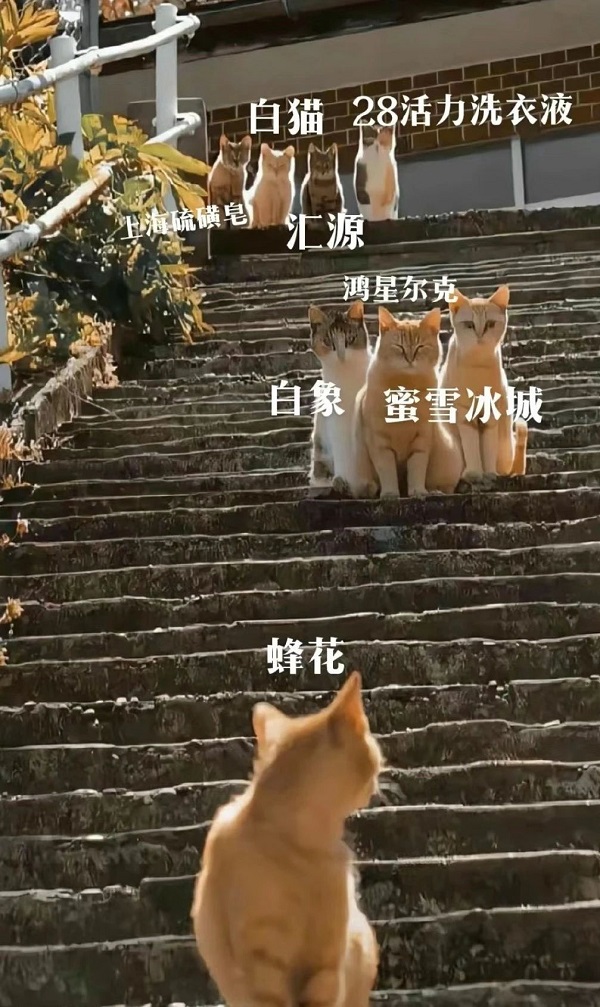 06.jpg