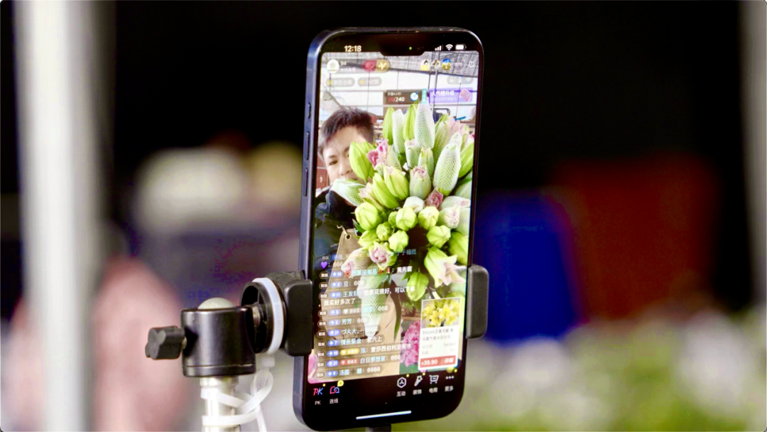 1703146319501535.png 2.png