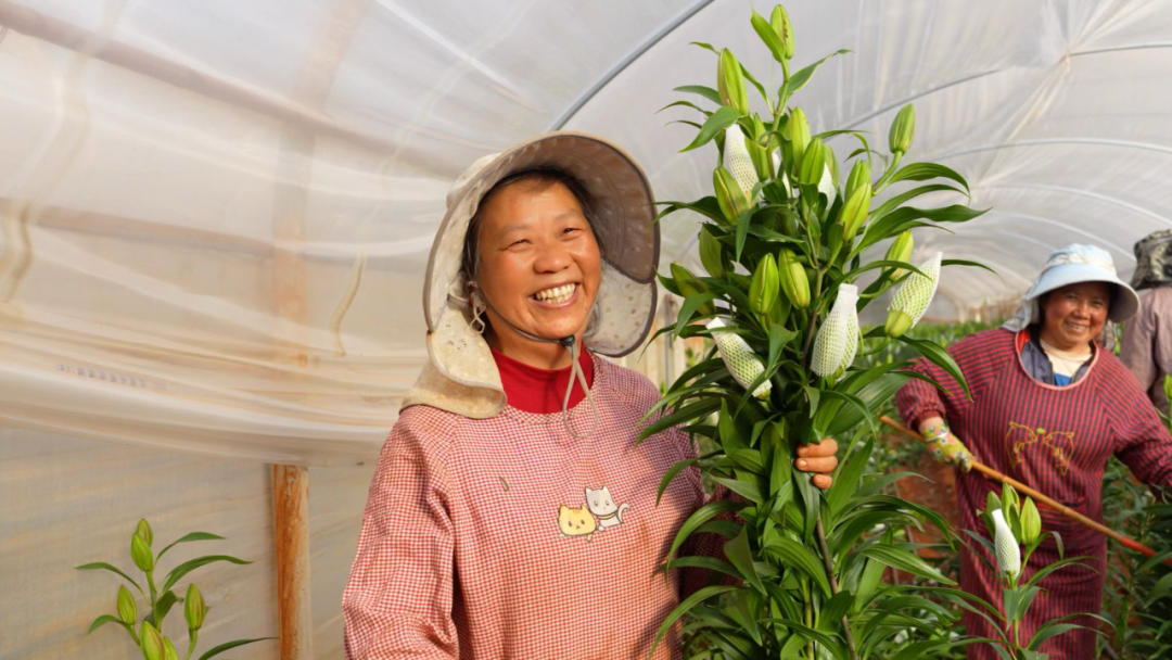 1703146353378034.png 3.png