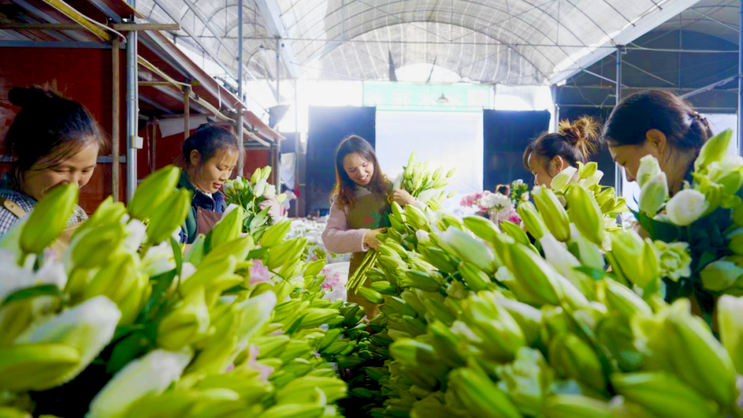 1703146373127976.png 4.png