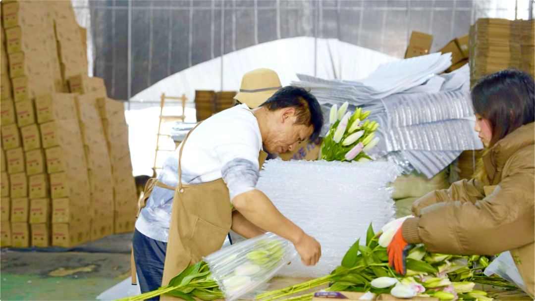 1703146428965805.png 6.png