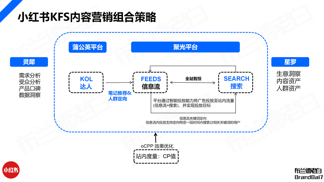 万字构建 | 品牌全域人群资产增长飞轮