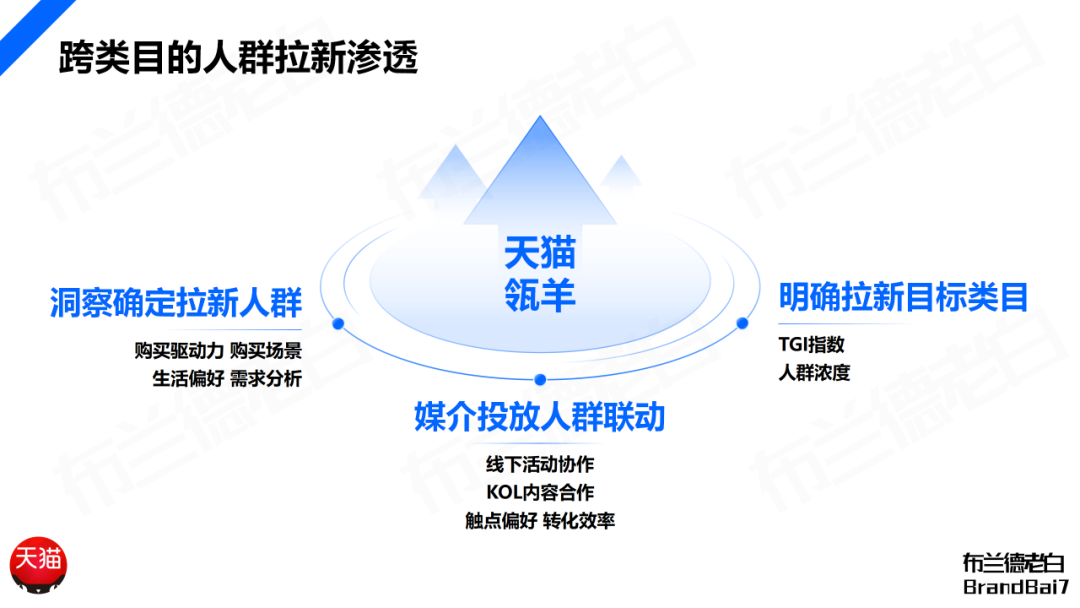 万字构建 | 品牌全域人群资产增长飞轮