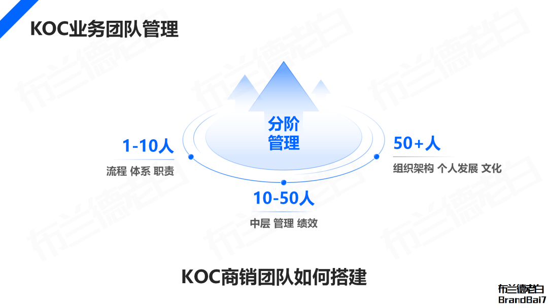 万字解析 | 2024年品牌KOC营销全域打法