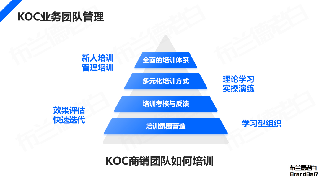 万字解析 | 2024年品牌KOC营销全域打法