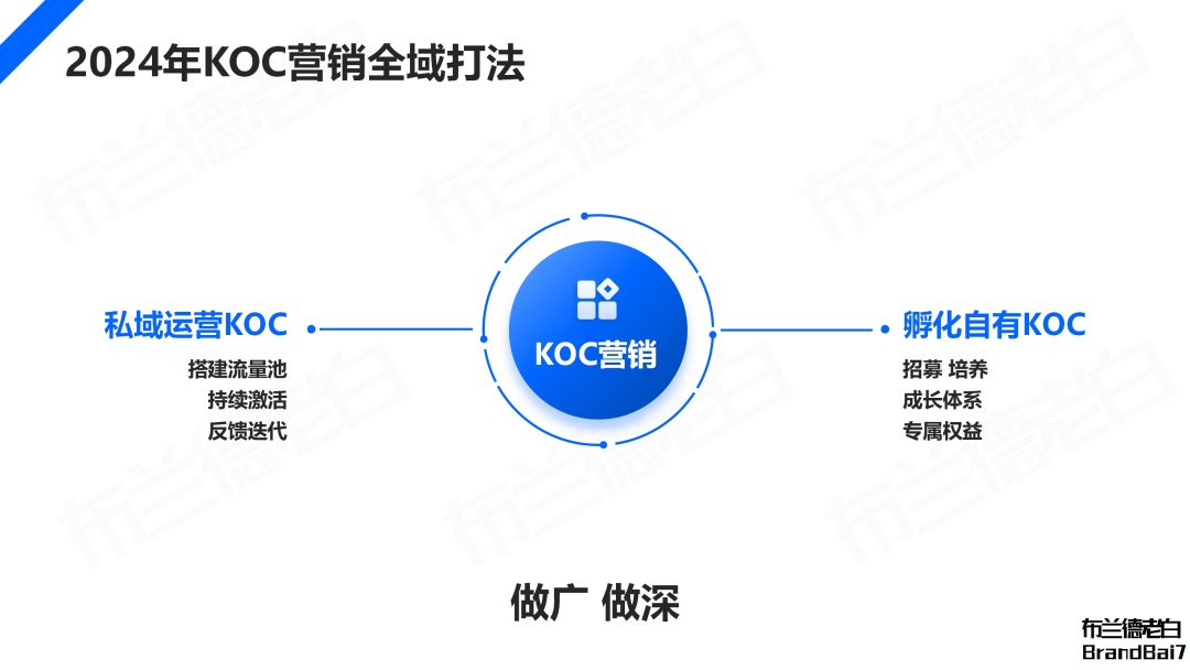 万字解析 | 2024年品牌KOC营销全域打法