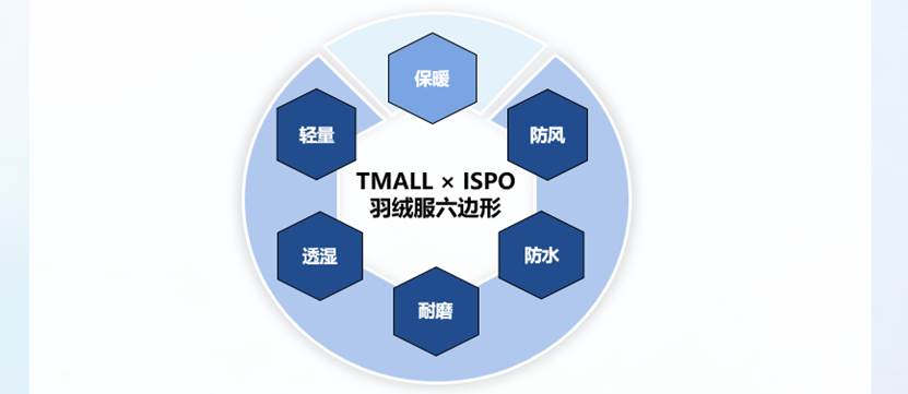 5 六边形标准.jpg
