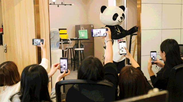 5.gif