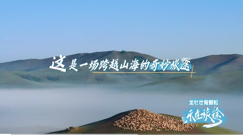 微信截图_6.png