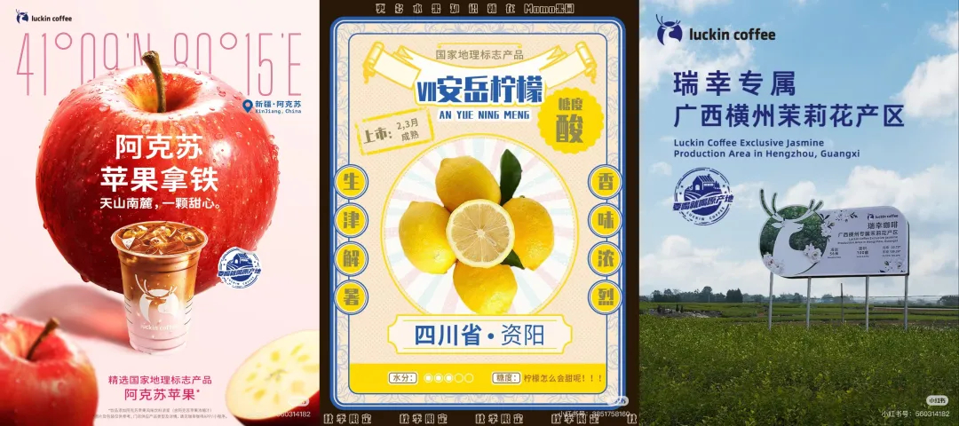 1757385225126371.jpg 1757385225126371.jpg