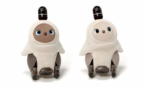 1757685513135519.jpg 1.jpg