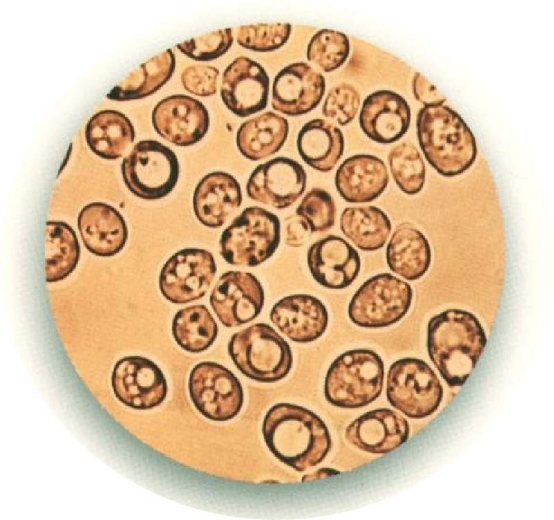 1761791025855428.png 1761791025855428.png