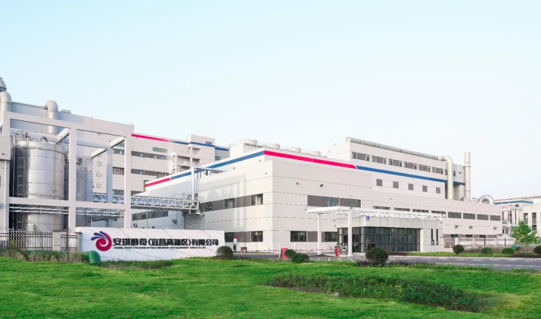 1761791049127331.jpg 1761791049127331.jpg