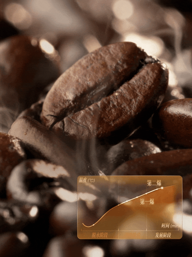 1764729954588717.gif 图片 (2).gif