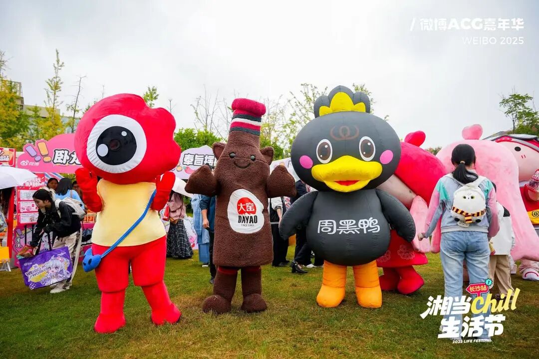 1770967890665271.jpg 1770967890665271.jpg