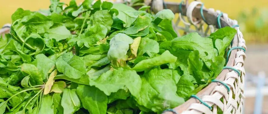 1774497126605973.jpg 1774497126605973.jpg