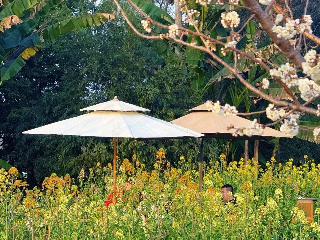 1774497139105350.jpg 1774497139105350.jpg