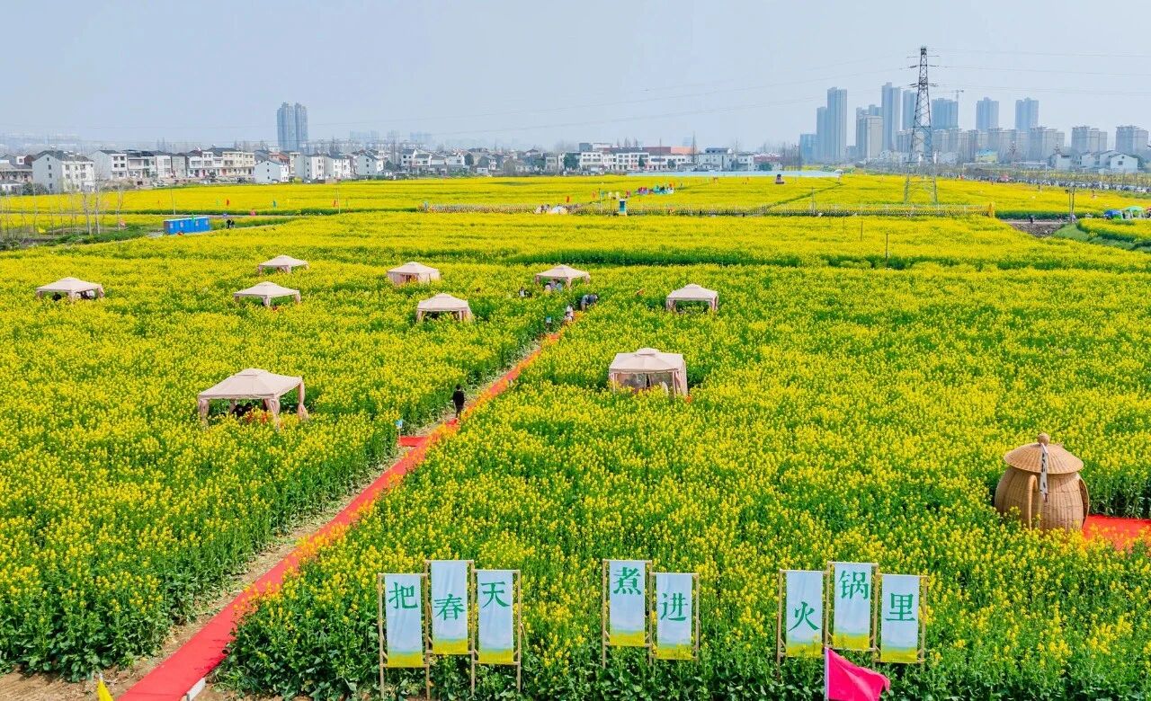 1774497146748408.jpg 1774497146748408.jpg