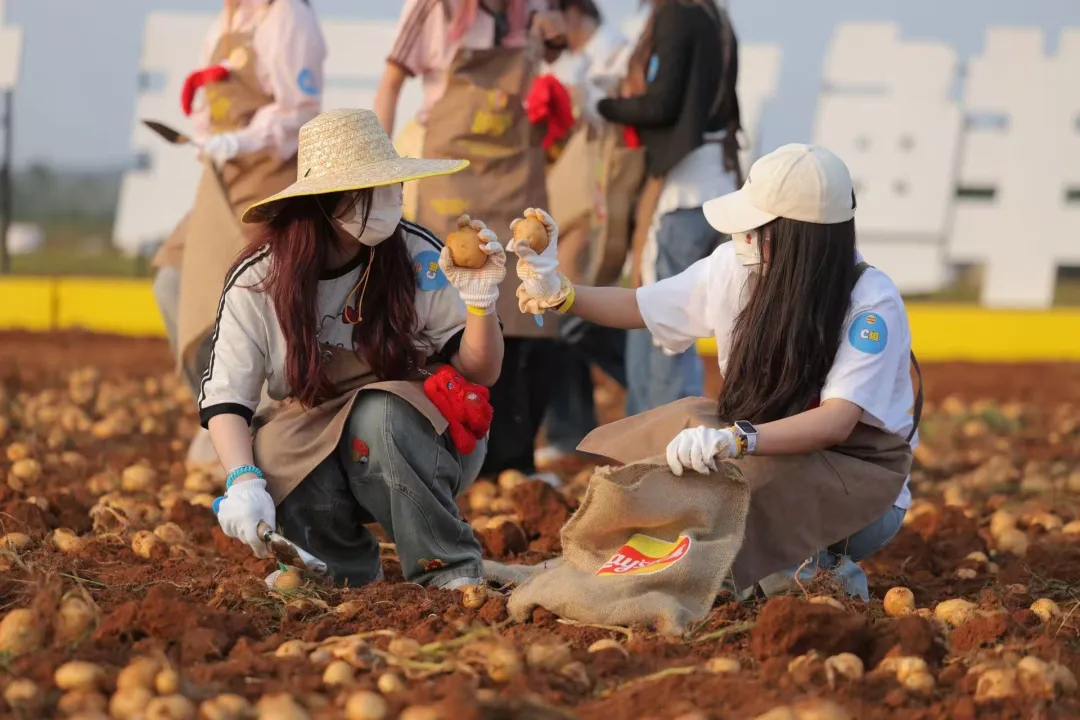 1774851702287237.jpg 1774851702287237.jpg