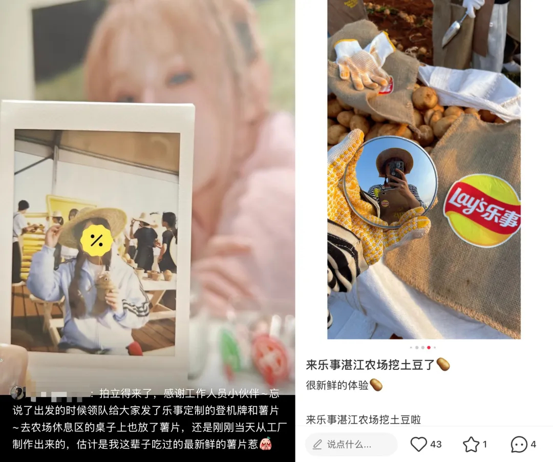 1774851714753873.jpg 1774851714753873.jpg