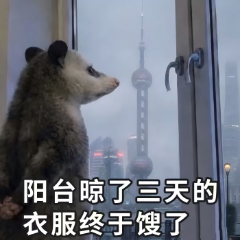 1782992517651501.jpg 表情包(1)(1).jpg