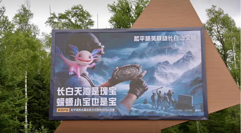 图片 图片