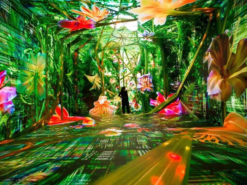 1787805994792172.jpg 1787805994792172.jpg