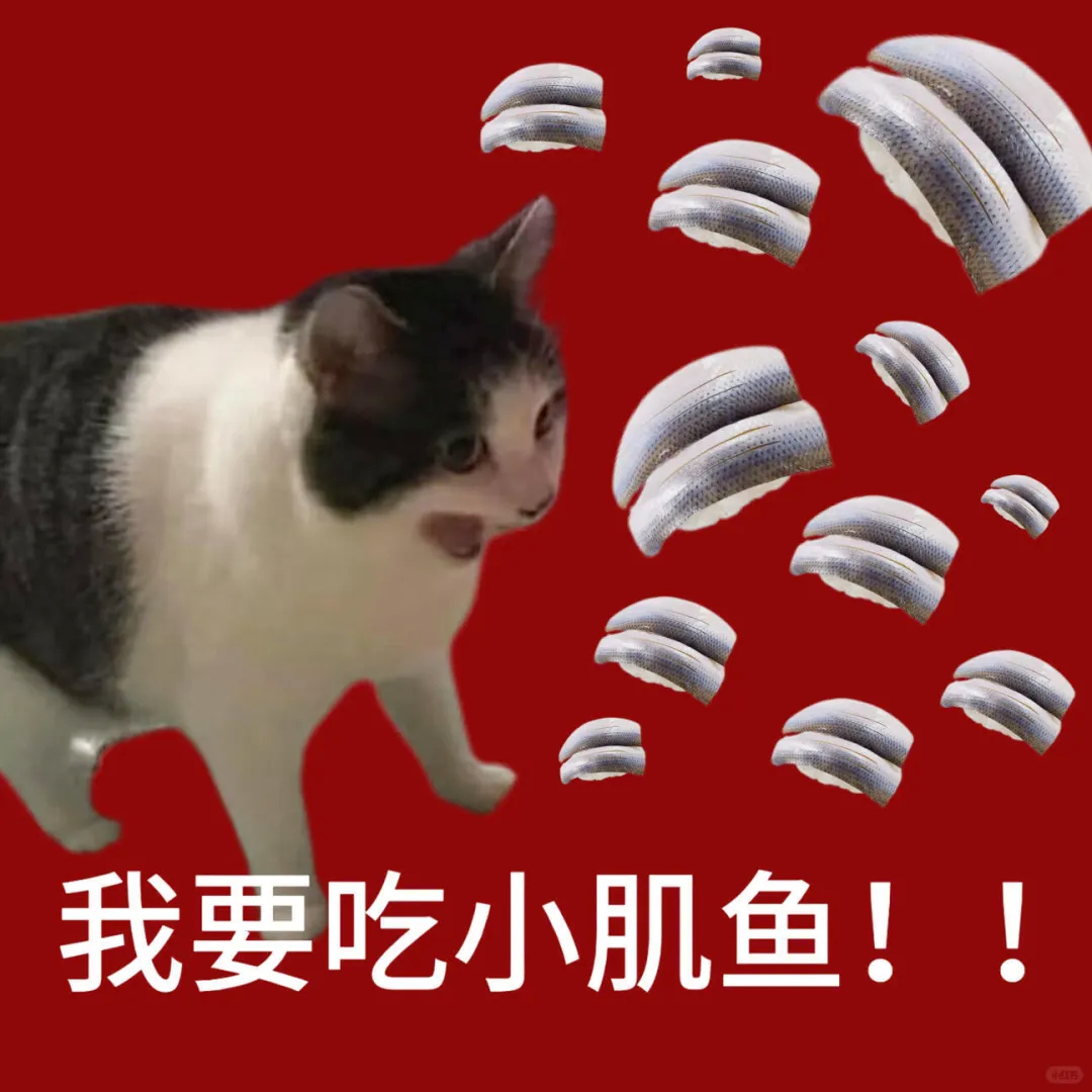 1789874047343350.jpg 图片 (3).jpg